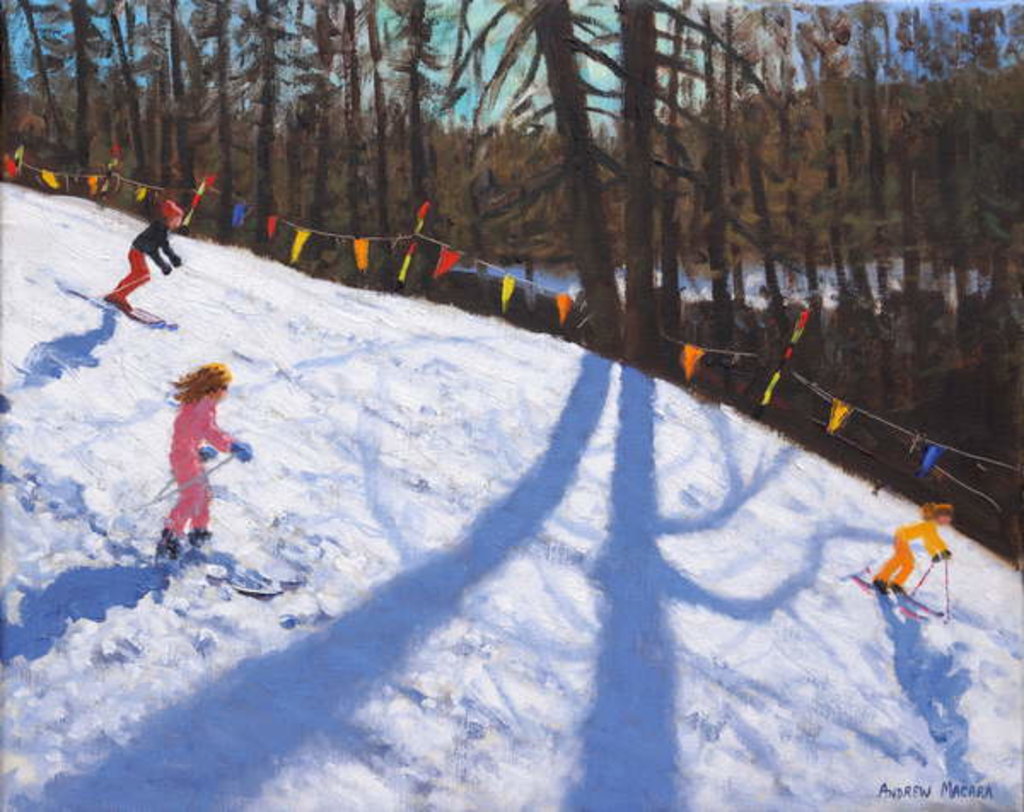Detail of Three Valleys skiing, 2018 by Andrew Macara