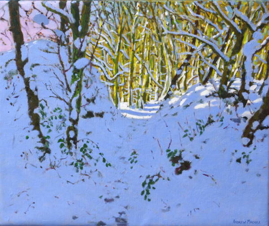 Detail of Path through the woods in winter, Derbyshire, 2019 by Andrew Macara