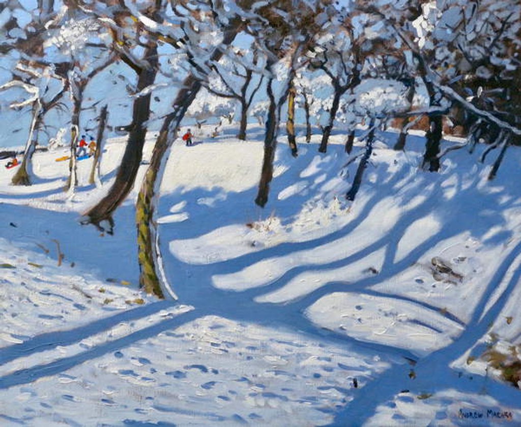 Detail of Winter Ladmanlow, Buxton, Derbyshire, 2010 by Andrew Macara