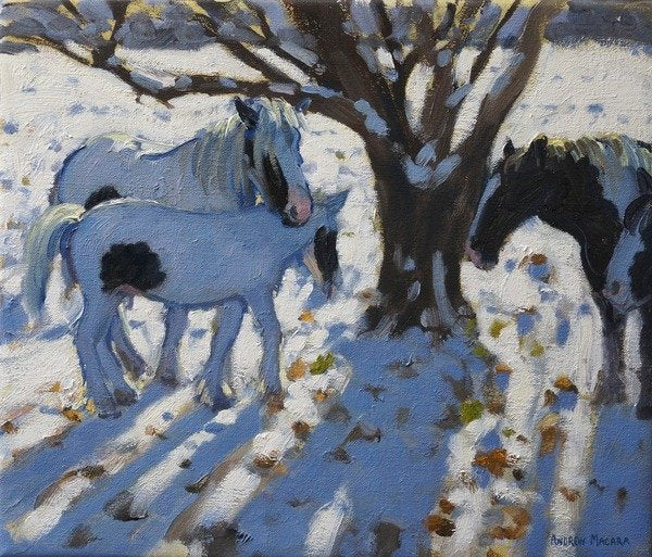 Detail of Skewbald Ponies in Winter by Andrew Macara