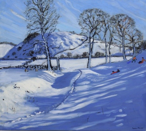 Detail of Sledging, Derbyshire Peak District by Andrew Macara
