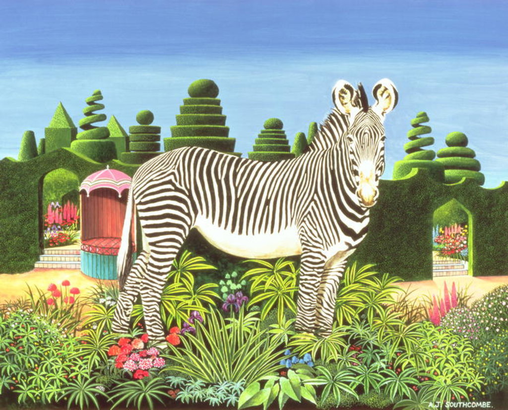 Detail of Zebra in a Garden, 1977 by Anthony Southcombe