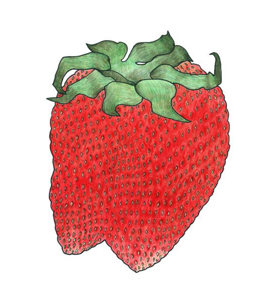 Detail of Strawberry 2, 2013 by Faisal Khouja