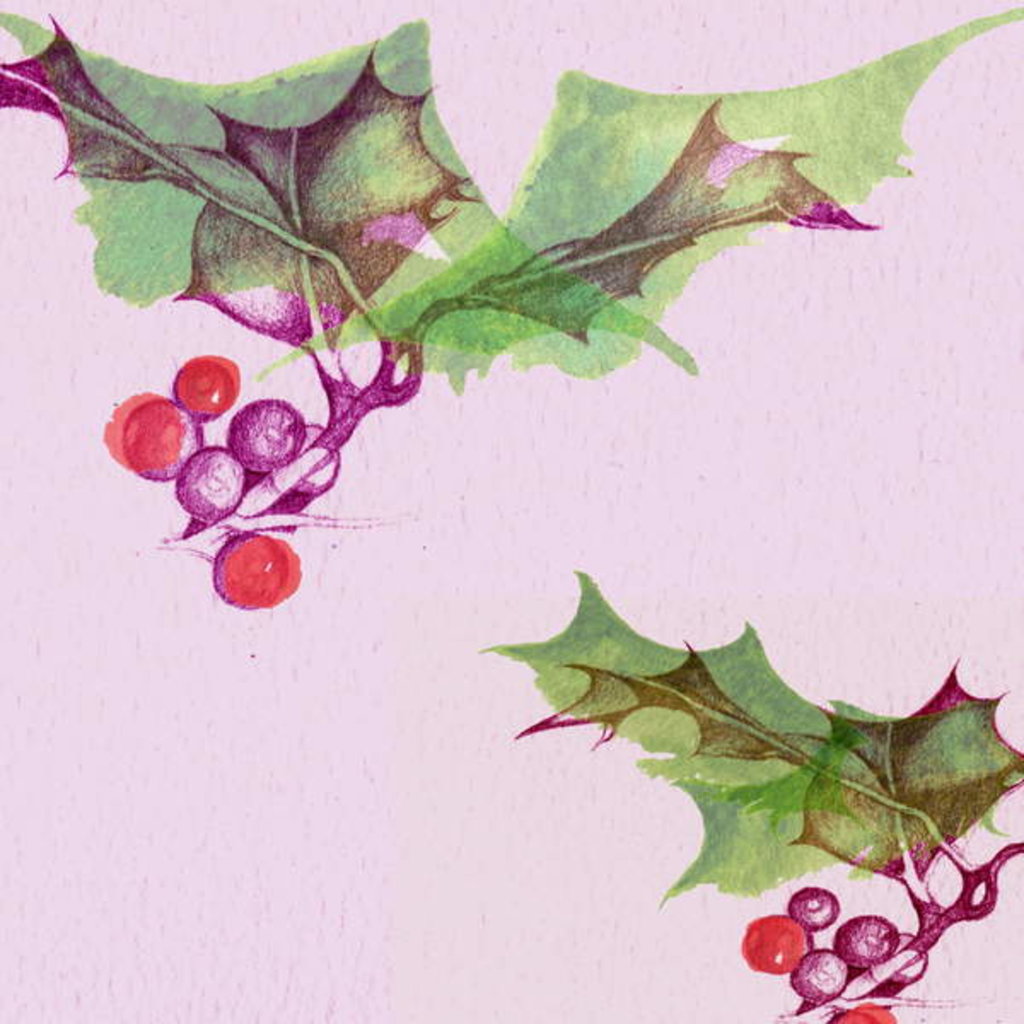 Detail of Holly by Anna Platts