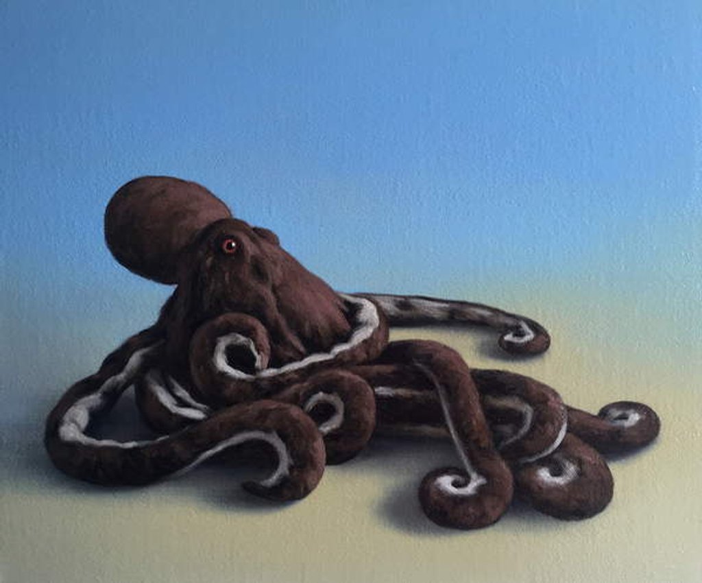 Octopus, 2016 by Peter Jones