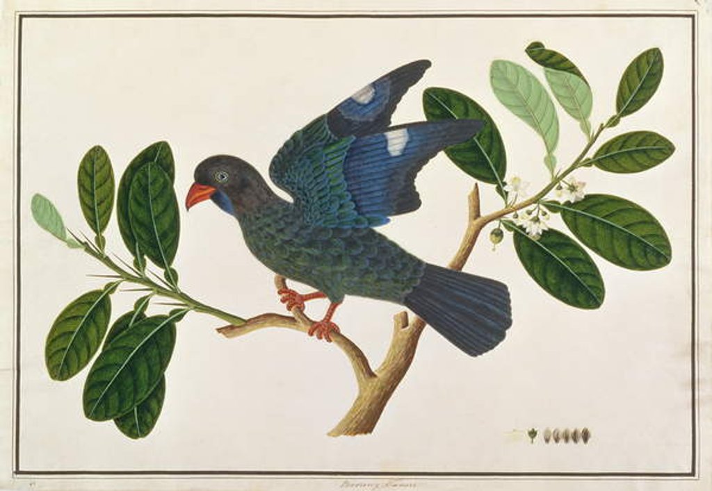 Detail of Dollarbird by Chinese School