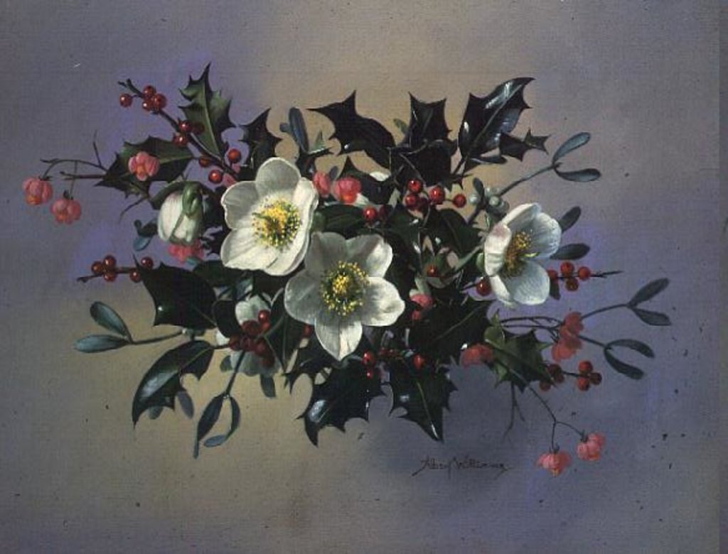 Detail of AB/89 Christmas roses by Albert Williams