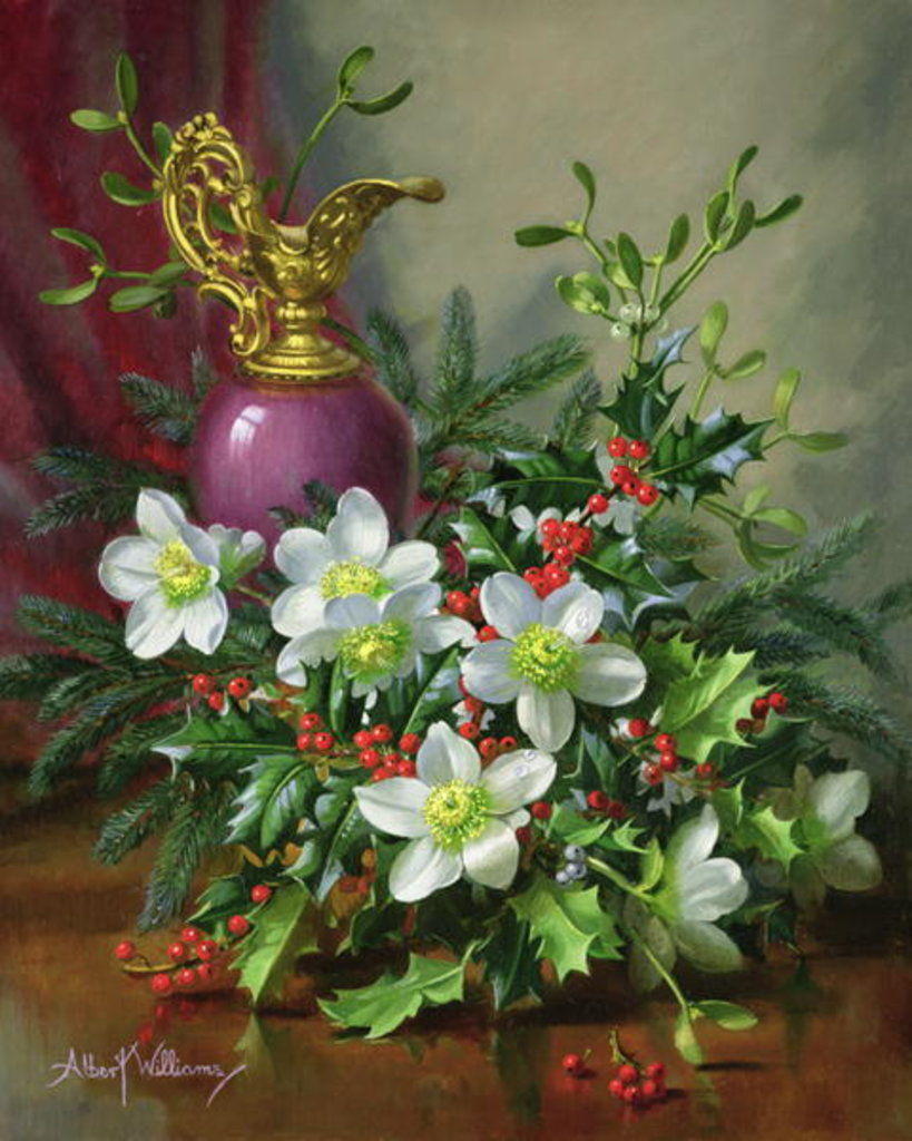 Detail of AB/88 Christmas roses by Albert Williams