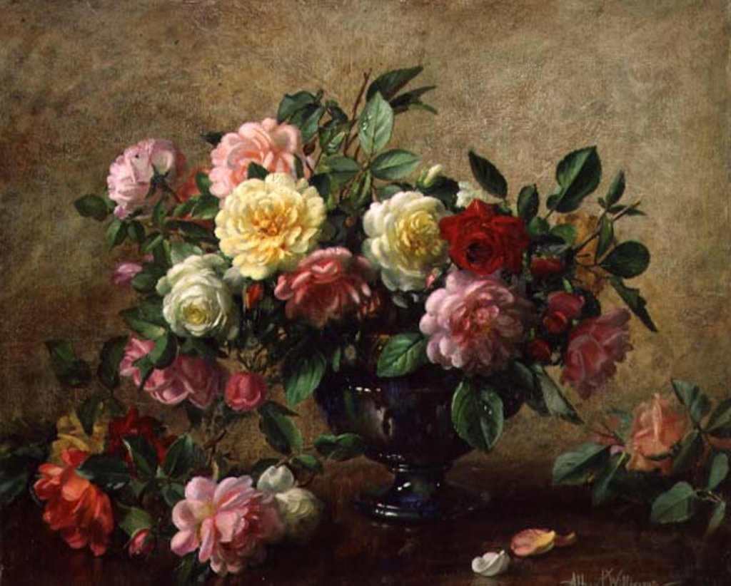 Detail of AB/110/2 All Beauty in a Summer Rose by Albert Williams