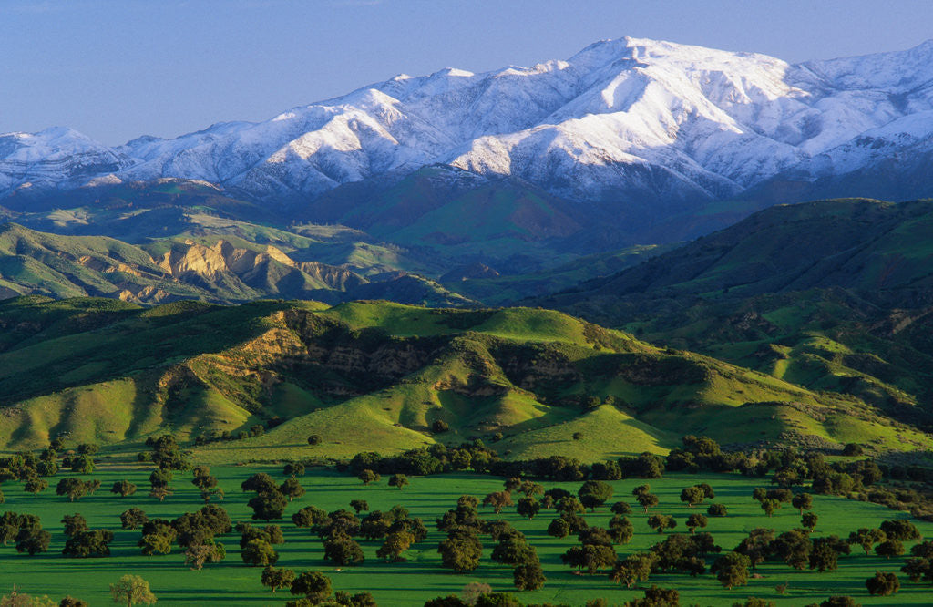 Detail of Mountains at Los Padres National Forest by Anonymous