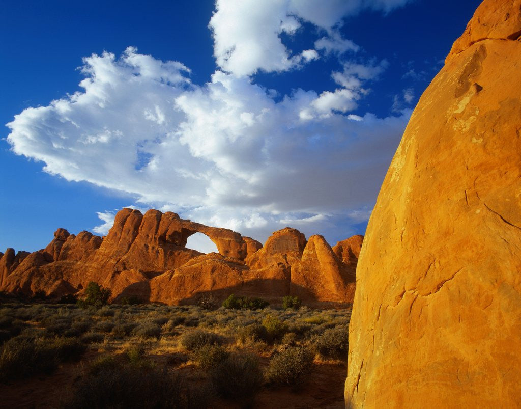 Detail of Rock Formations in Arches National Park by Anonymous