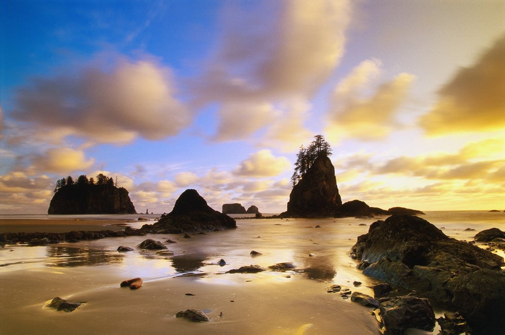 Detail of Sea Stacks Off Second Beach by Anonymous