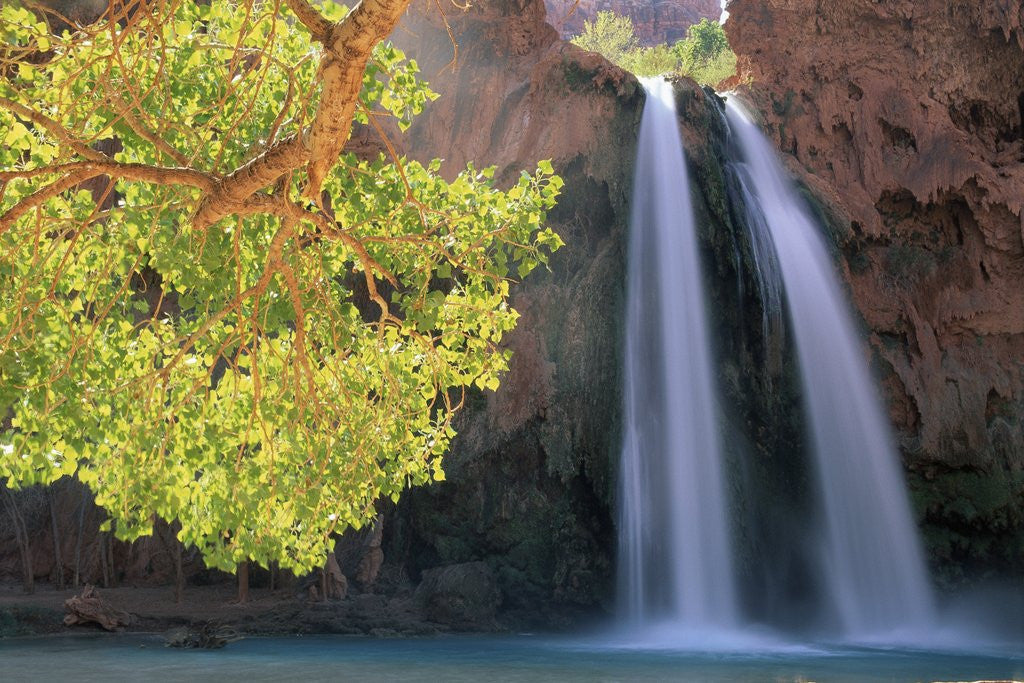Detail of Havasu Falls by Anonymous