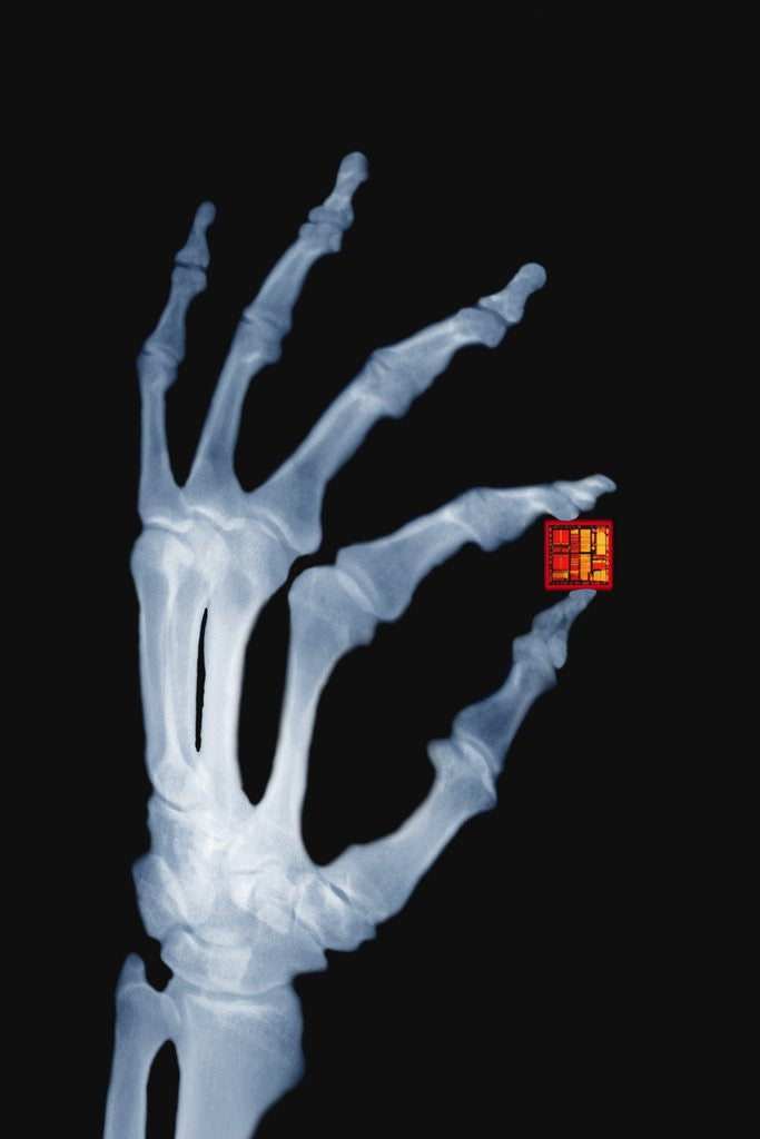 Detail of Skeletal Hand Holding Computer Chip by Anonymous