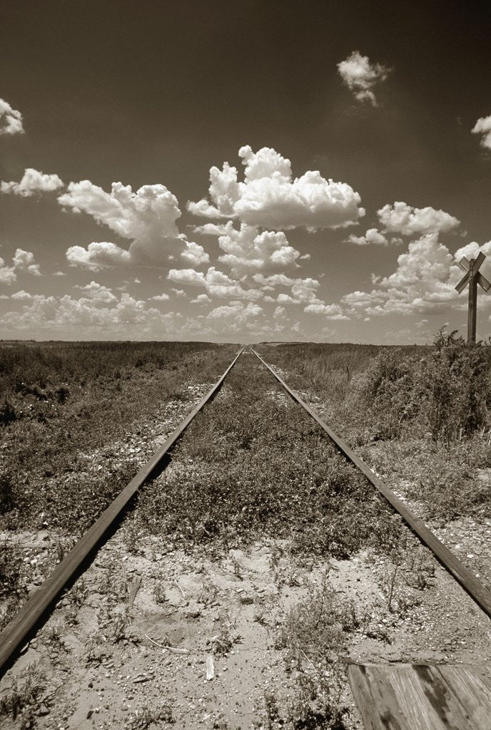 Old Railroad Tracks by Corbis