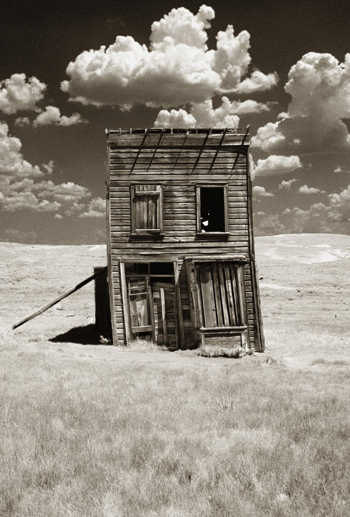 Detail of Abandoned Shack in Field by Corbis