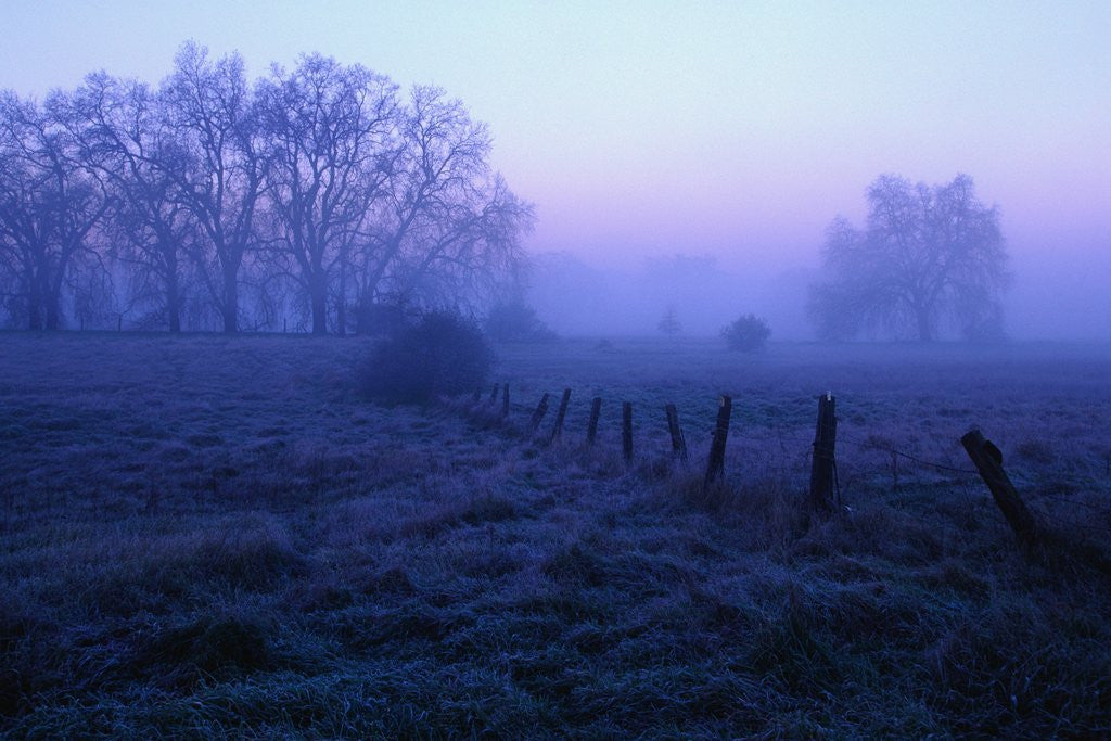 Detail of Meadow in the Morning Mist by Anonymous