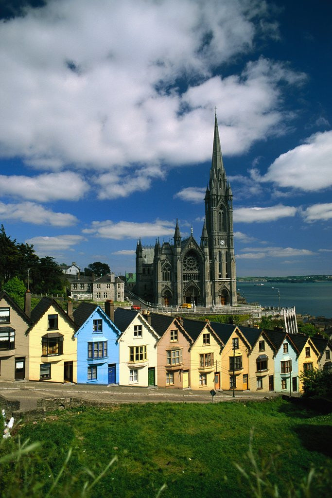 Detail of St. Coleman's Cathedral of Cobh Behind Colorful Row Houses by Anonymous