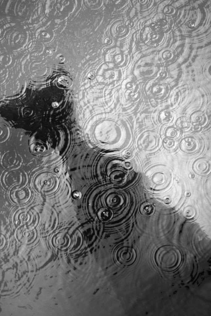 Detail of Raindrop Ripples on Fish Underwater by Anonymous