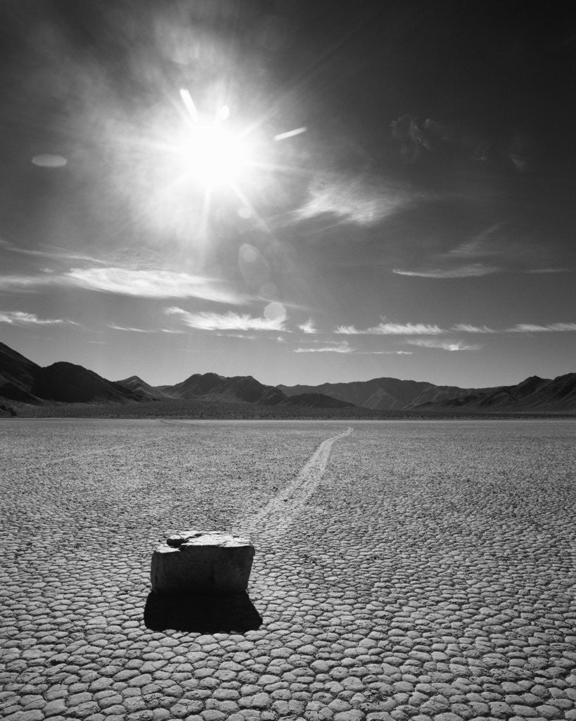 Detail of Rock at Racetrack Playa by Anonymous
