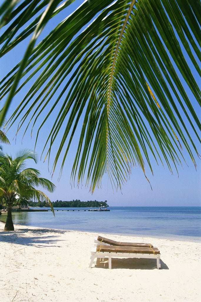 Detail of Deck Chairs on Beach by Anonymous