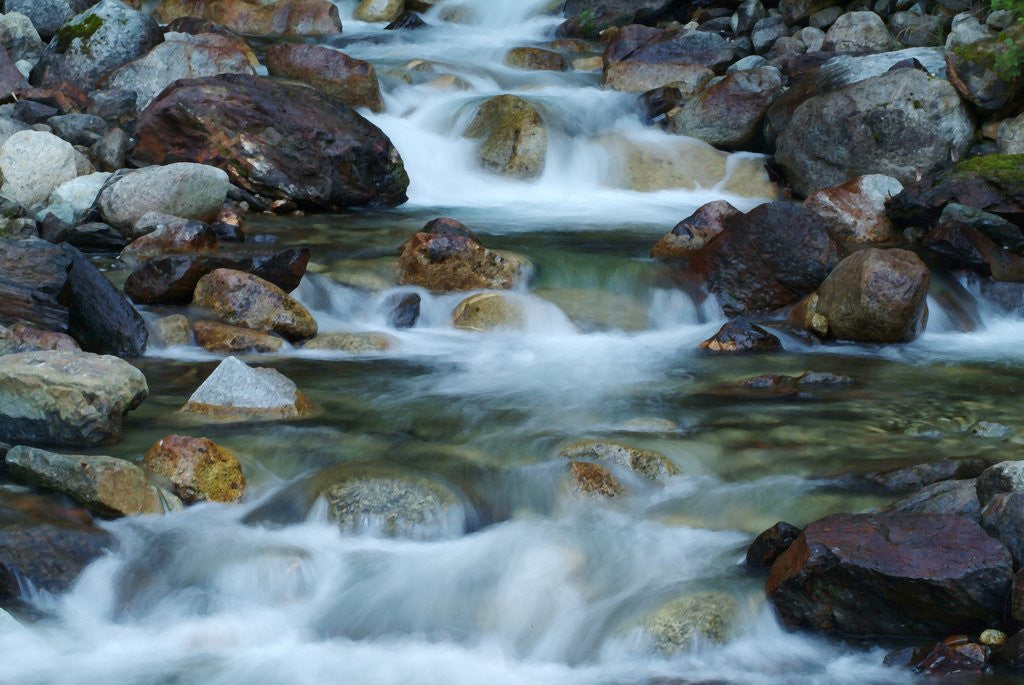Detail of Rocky Stream by Anonymous