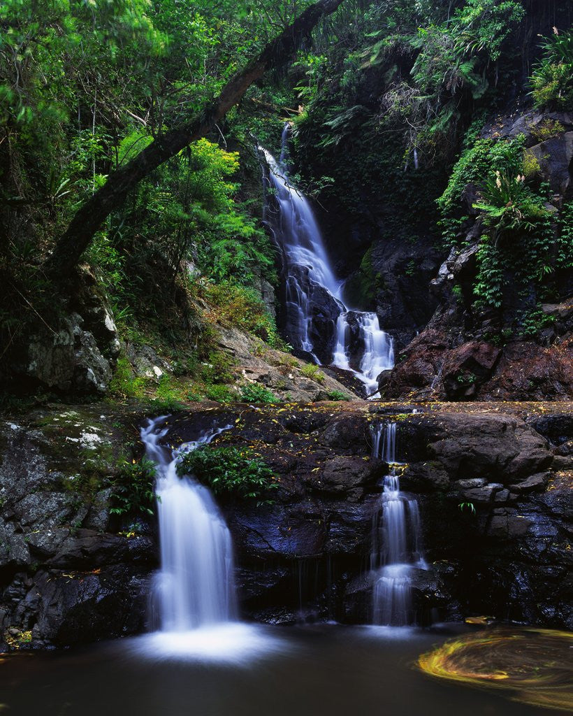 Detail of Elabana Falls by Anonymous