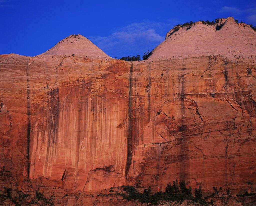 Detail of Streaked Wall and Beehives at Sunrise by Anonymous
