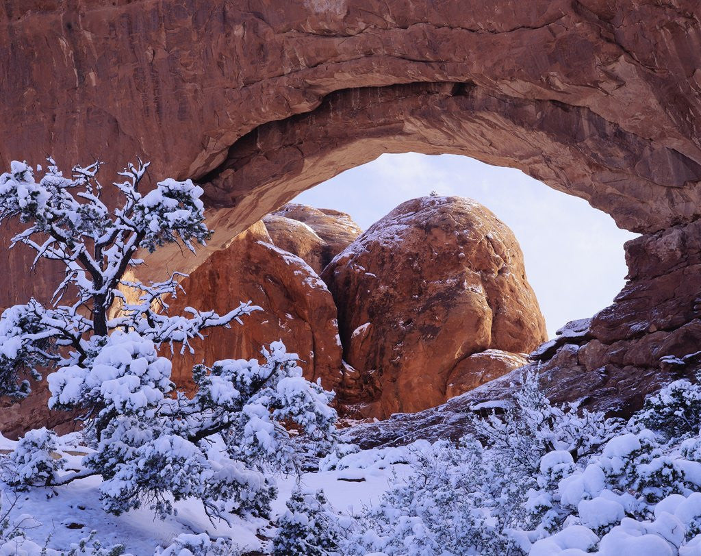 Detail of Snow Covering Ground at North Window by Corbis