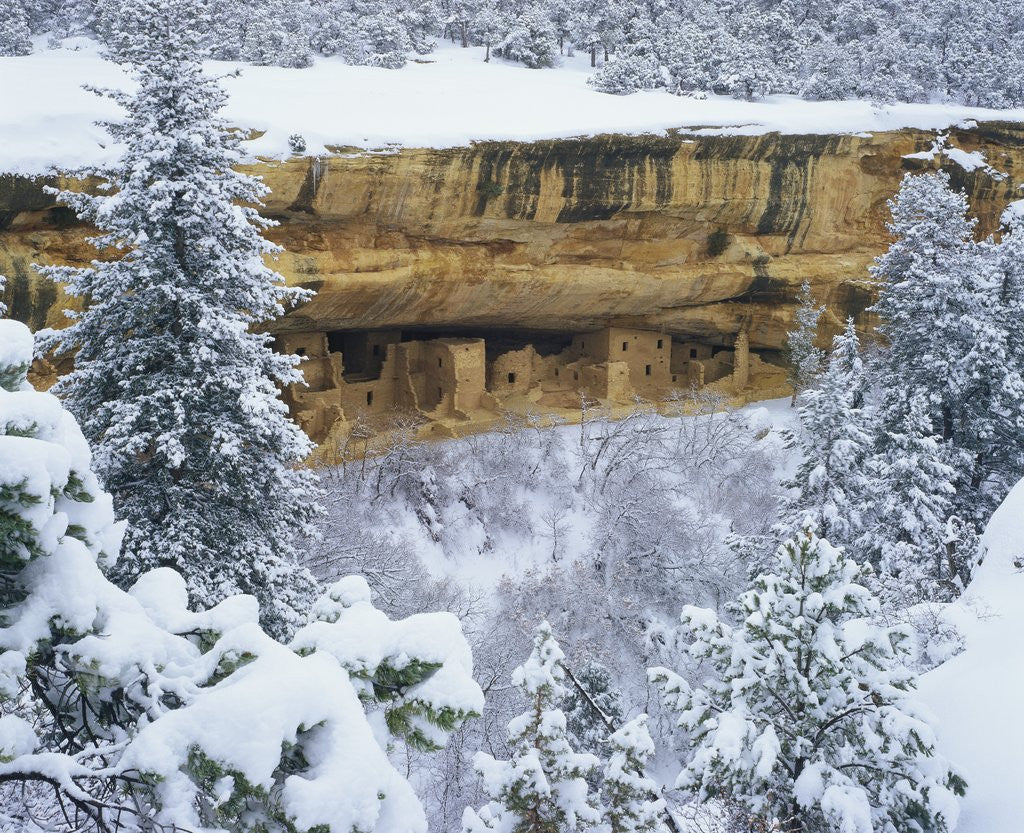 Detail of Snow Blankets Spruce Tree House Anasazi Cliff Dwelling at Mesa Verde National Park by Anonymous