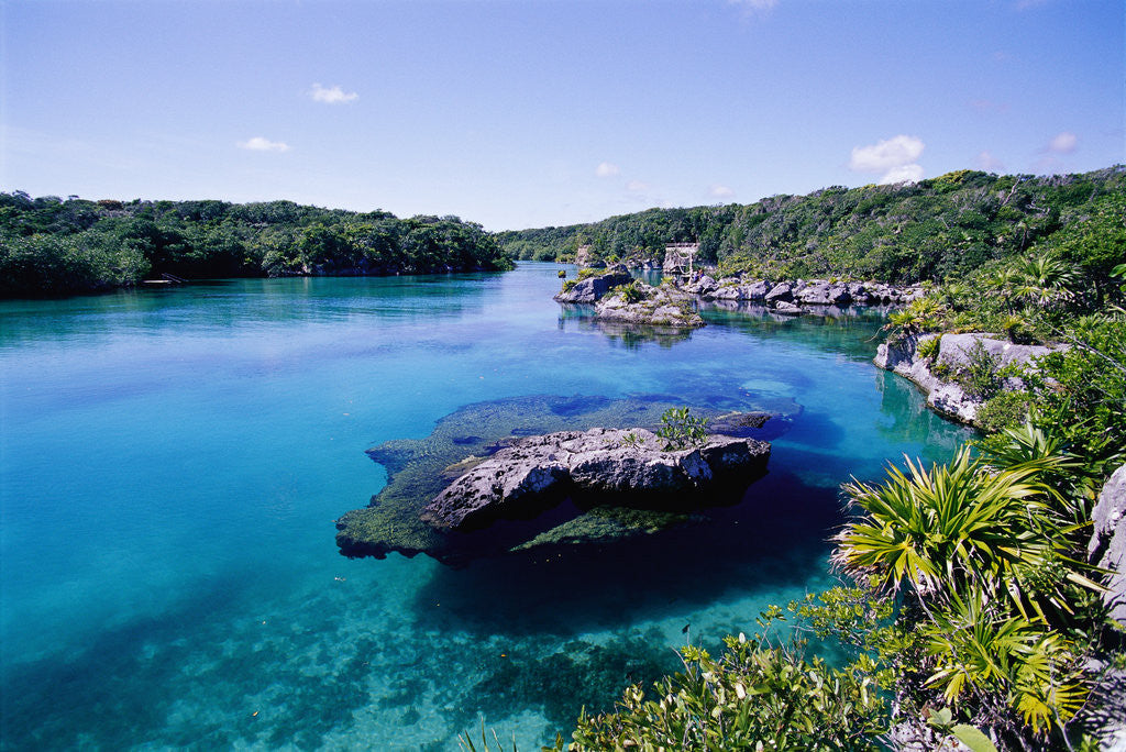 Detail of Lagoon at Xel Ha National Park in Mexico by Anonymous
