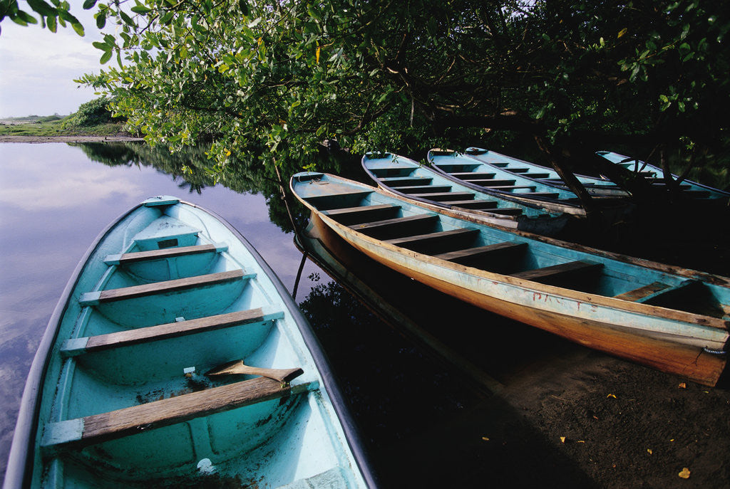 Detail of Tour Boats Moored in Ventanilla Lagoon by Corbis