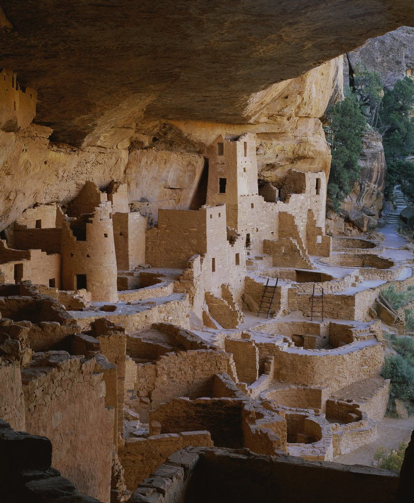 Detail of Cliff Palace by Corbis