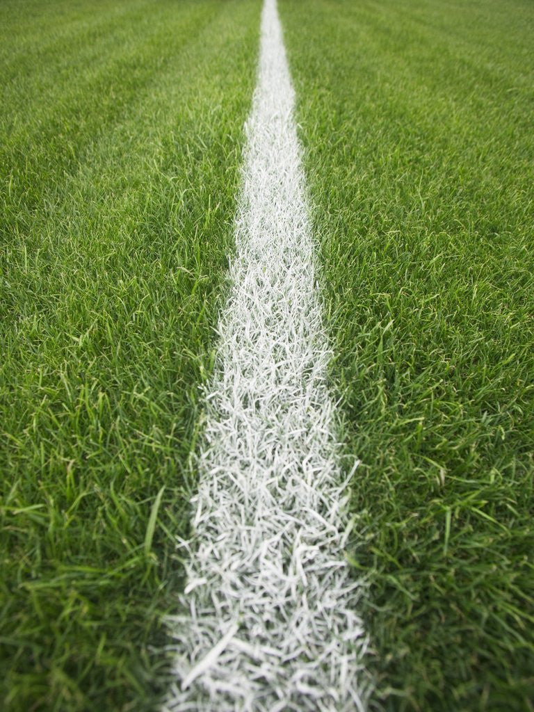 Detail of Painted Line on Athletic Field by Anonymous
