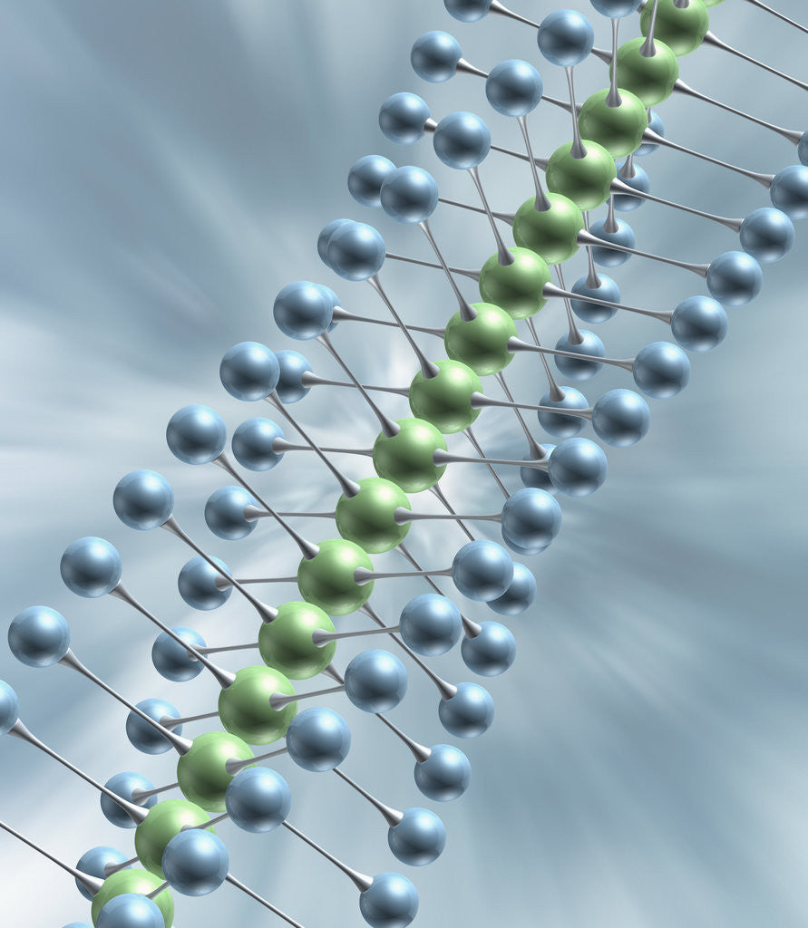 Detail of Chain of Molecules by Anonymous