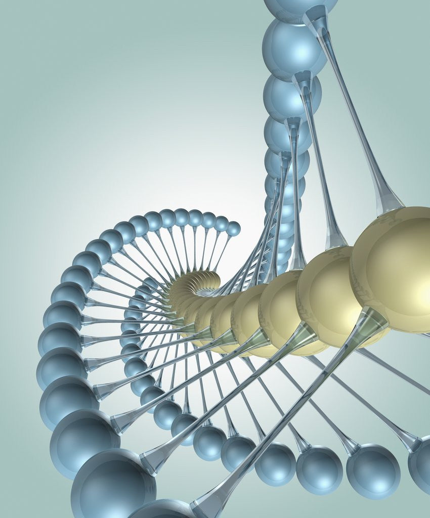 Detail of Chain of Molecules by Anonymous