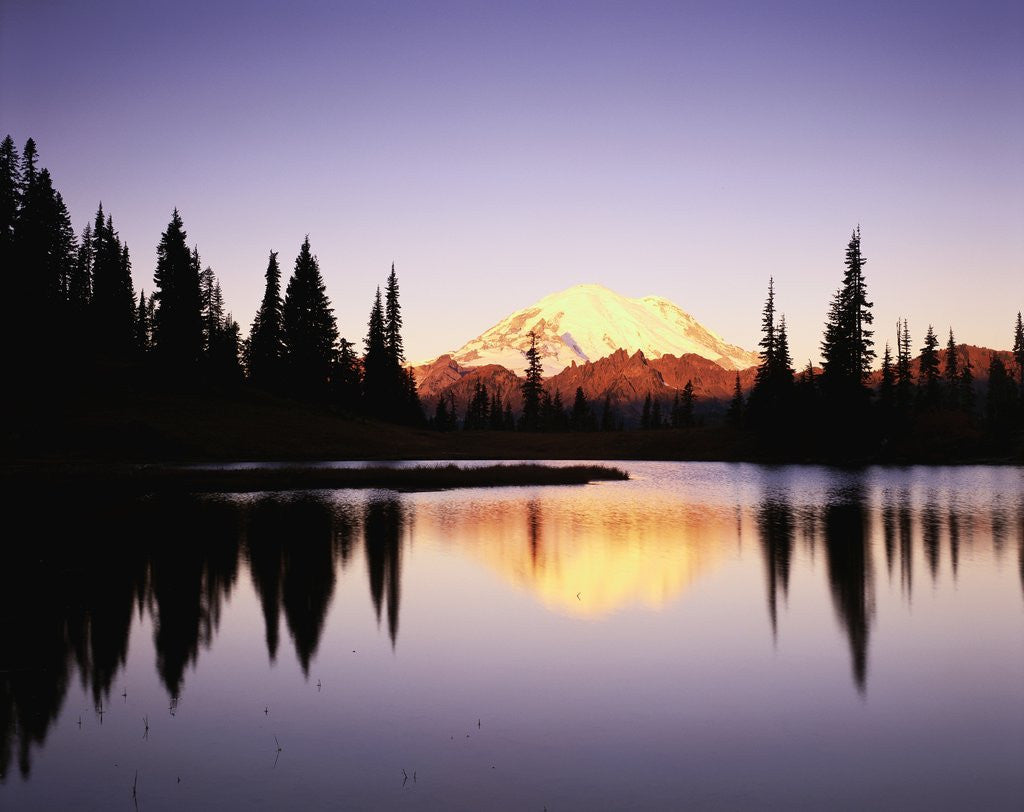 Detail of Mount Rainier from Tipsoo Lake by Anonymous