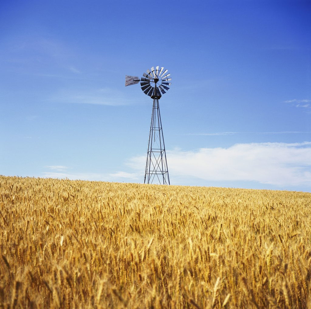 Detail of Windmill in Wheat Field by Anonymous