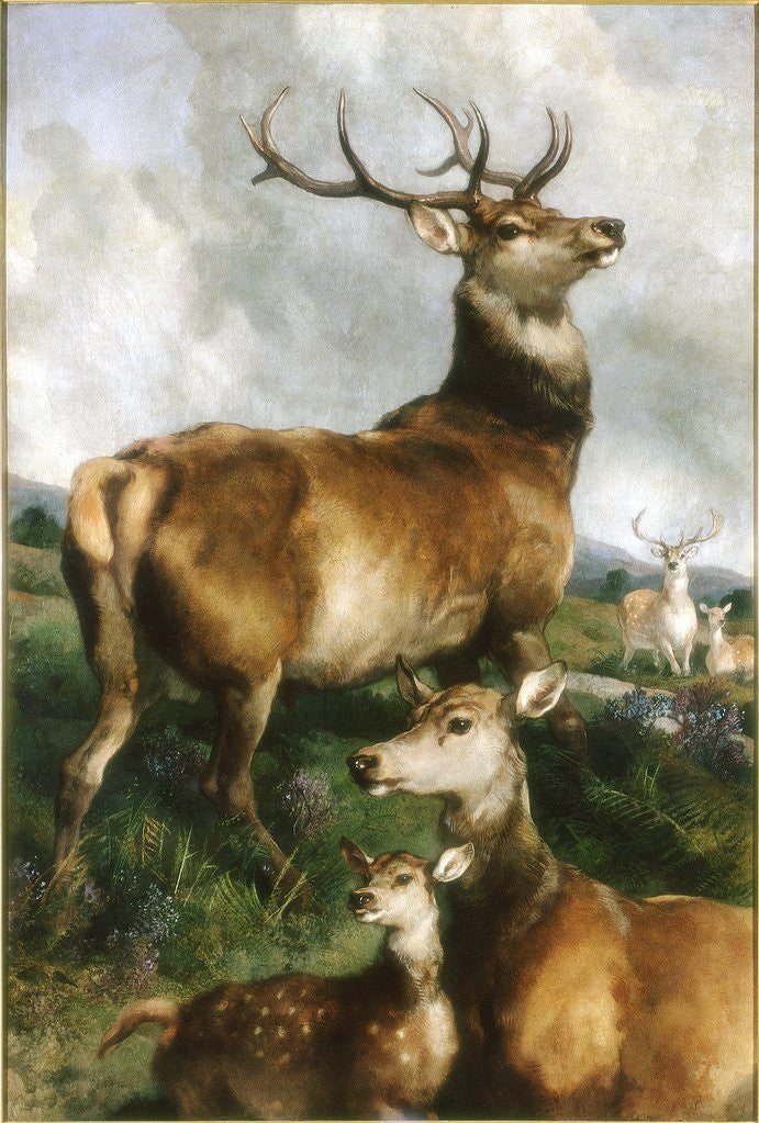 Detail of Deer of Chillingham Park, Northumberland by Sir Edwin Henry Landseer