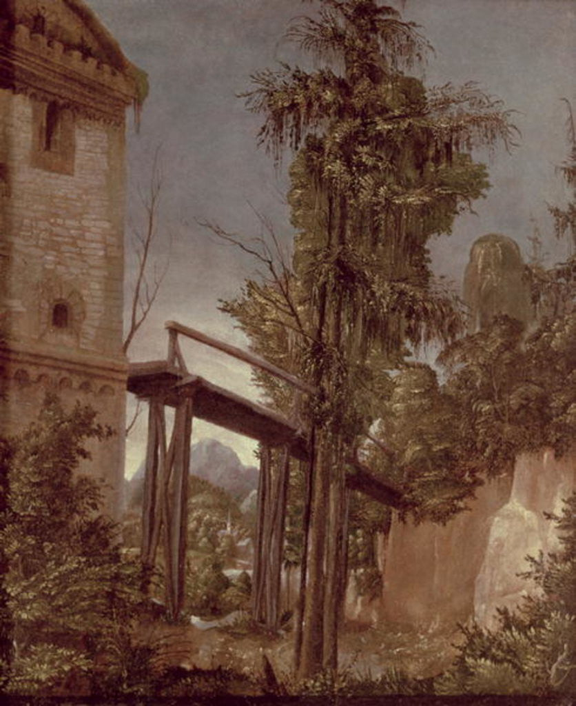 Detail of Landscape with a Footbridge by Albrecht Altdorfer