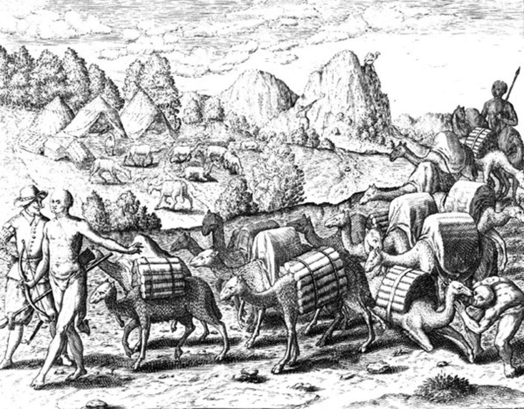 Detail of Pack Train of Llamas Laden with Silver from Potosi Mines of Peru, engraved by Theodore de Bry by Jacques Le Moyne