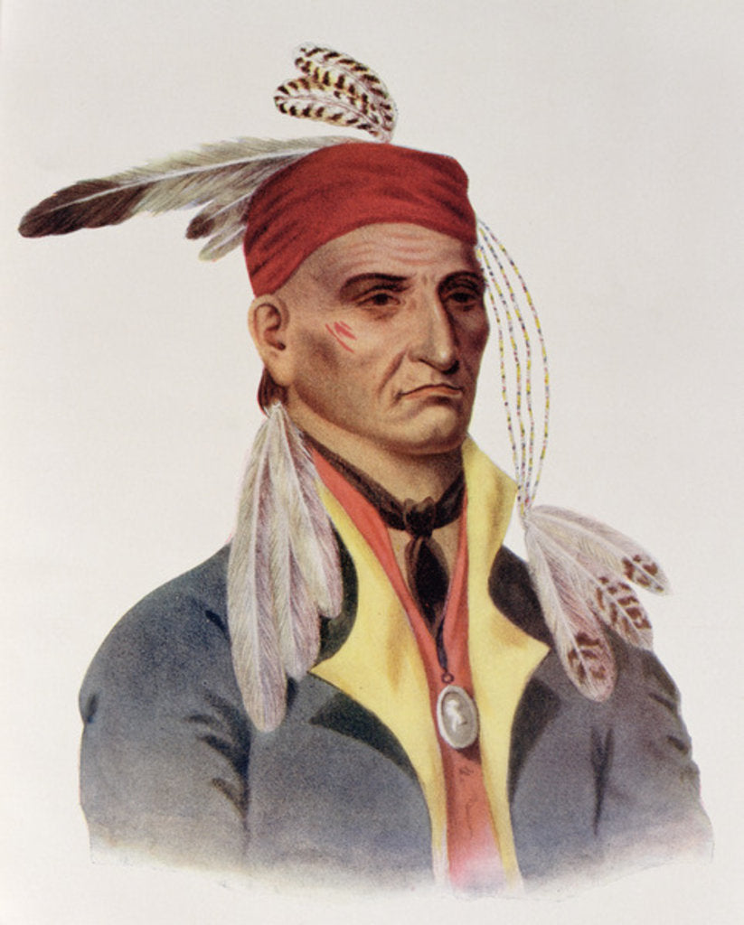 Detail of Shin-ga-ba W'Ossin or 'Image Stone', a Chippeway Chief, 1826 by James Otto Lewis