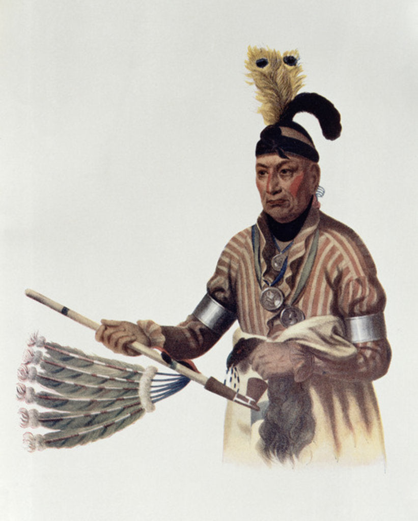 Detail of Naw-Kaw or 'Wood', a Winnebago Chief by Charles Bird King