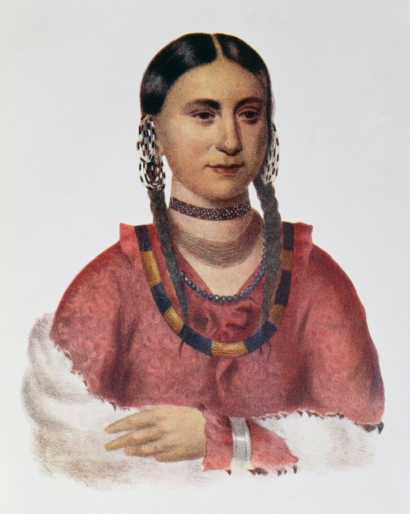 Detail of Hayne Hudjuhini or the 'Eagle of Delight' by Charles Bird King