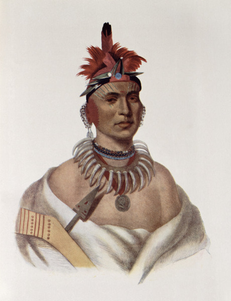 Detail of Chon-Ca-Pe or 'Big Kansas', an Oto Chief by Charles Bird (after) King