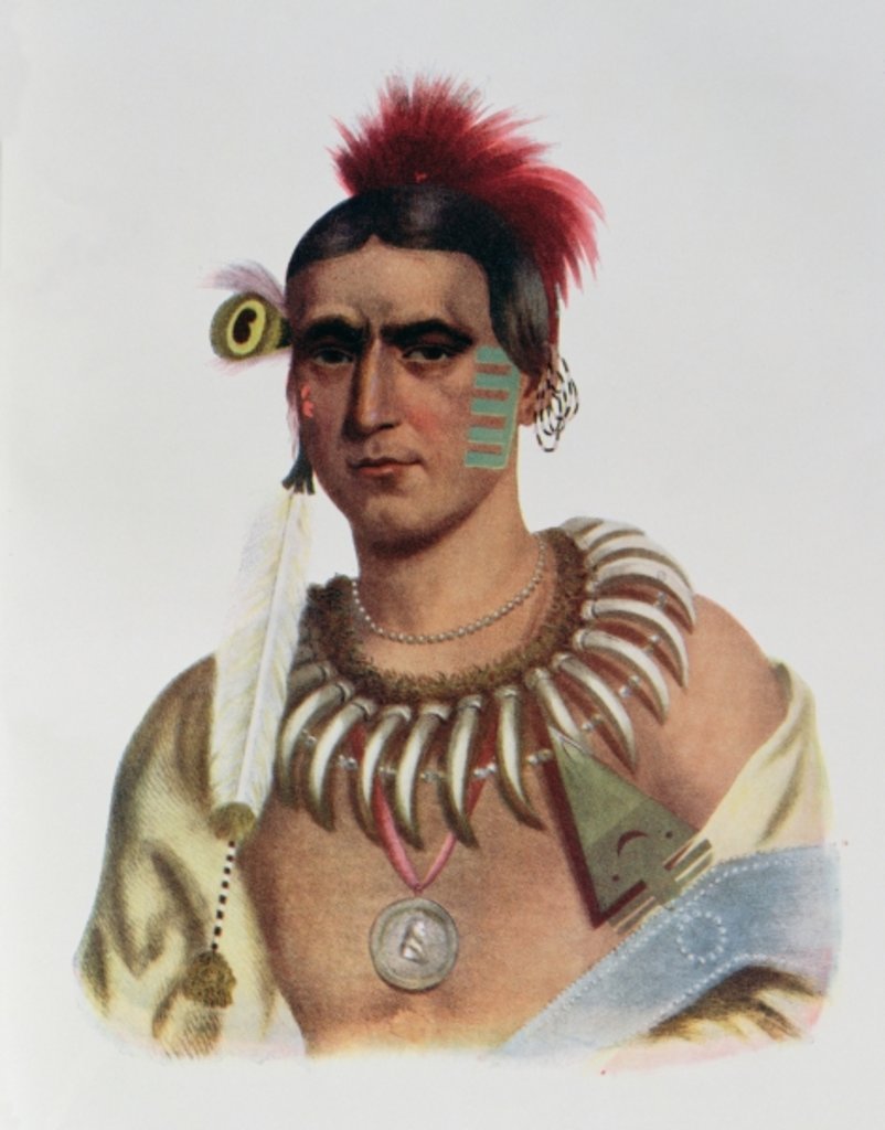 Detail of Ma-Has-Kah or 'White Cloud', an Iowa Chief by American School