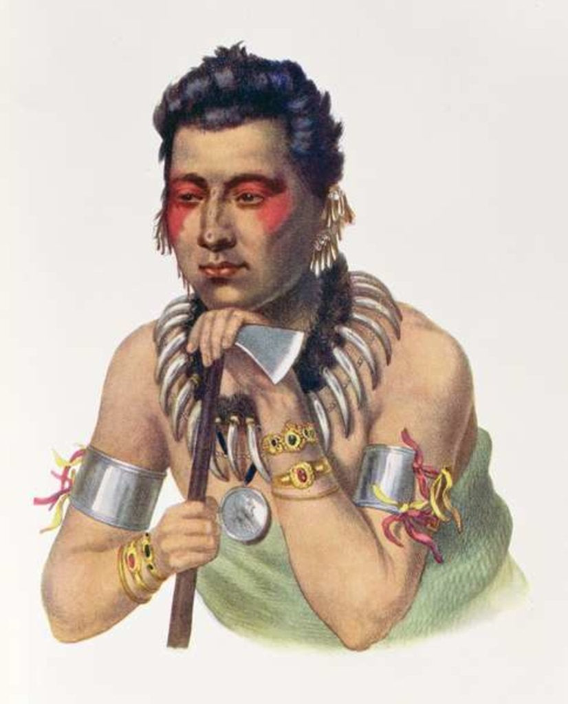 Detail of Young Ma-Has-Ka, Chief of the Iowas, 1837 by American School