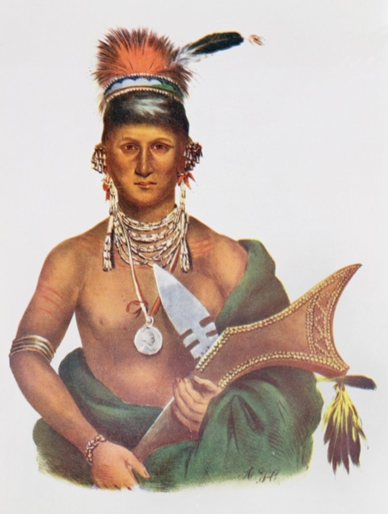 Detail of Appanoose, a Sauk Chief, 1837 by George Cooke