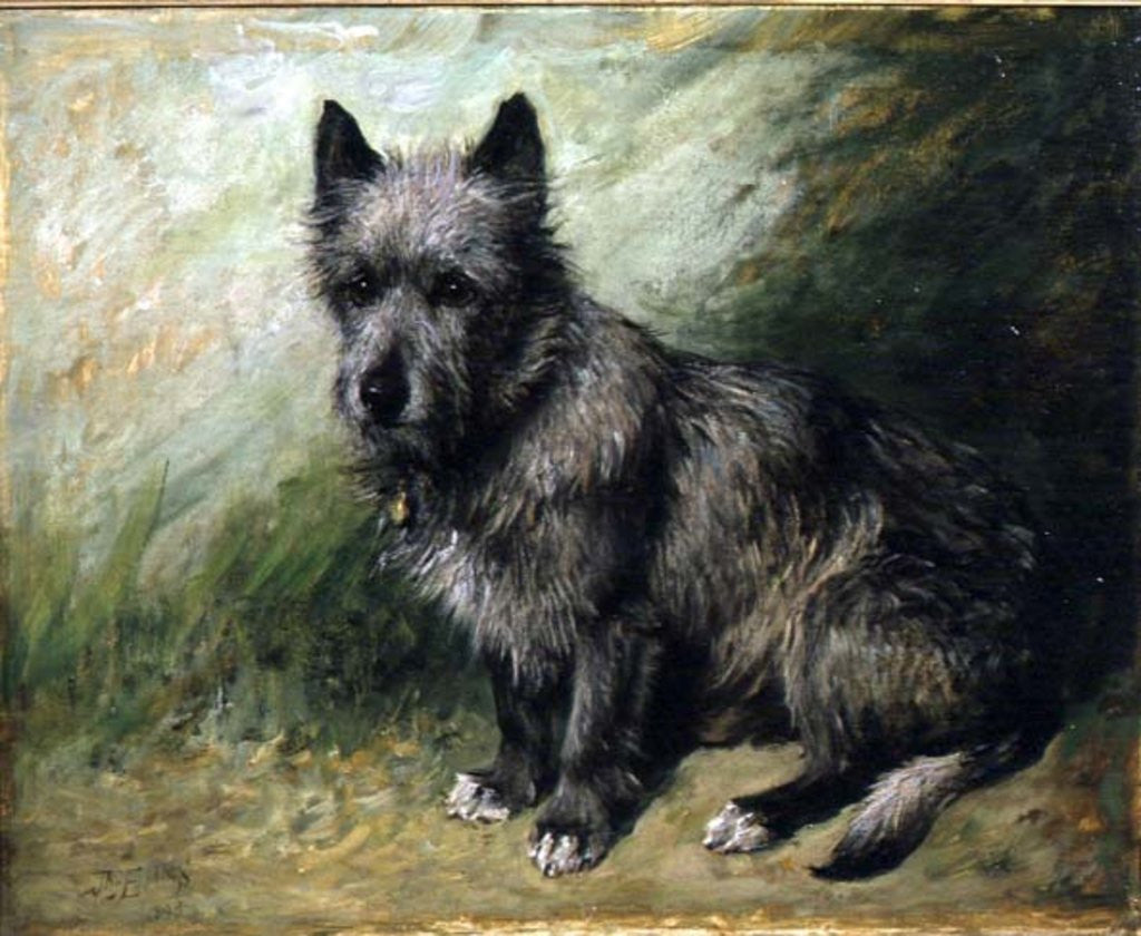 Detail of Tatters by John Emms