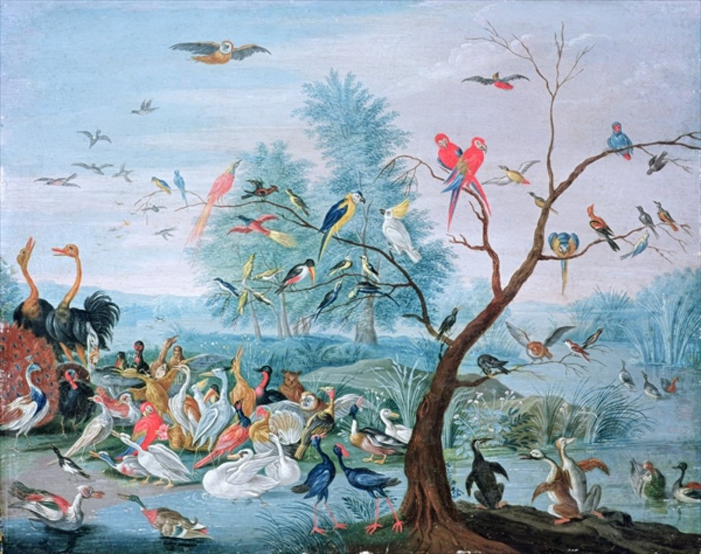 Detail of Tropical birds in a landscape by Jan van the Elder Kessel